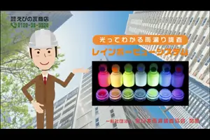 レインボービューシステム